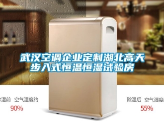 知识百科武汉空调企业定制湖北高天步入式恒温恒湿试验房