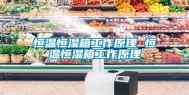 恒温恒湿箱工作原理 恒温恒湿箱工作原理