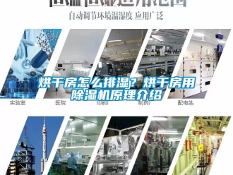 行业新闻烘干房怎么排湿？烘干房用除湿机原理介绍