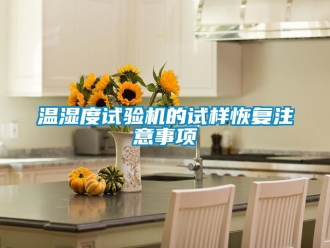 企业新闻温湿度试验机的试样恢复注意事项