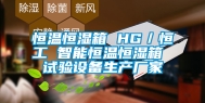 恒温恒湿箱 HG／恒工 智能恒温恒湿箱 试验设备生产厂家