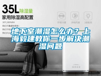 企业新闻地下室潮湿怎么办？上海毅建教你一步解决潮湿问题