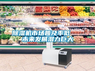 行业新闻除湿机市场普及率低   未来发展潜力巨大