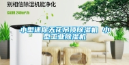 小型迷你天花吊顶除湿机 小型工业除湿机