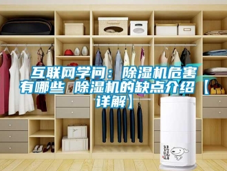 行业新闻互联网学问：除湿机危害有哪些 除湿机的缺点介绍【详解】