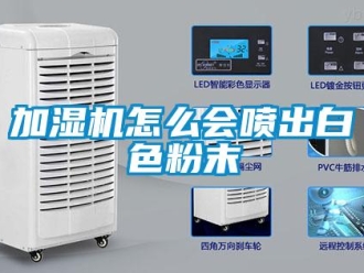 常见问题加湿机怎么会喷出白色粉末