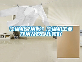 行业新闻除湿机管用吗？除湿机主要作用及放哪比较好