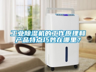 企业新闻工业除湿机的工作原理和产品特点巧妙在哪里？