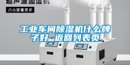 工业车间除湿机什么牌子好 返回列表页