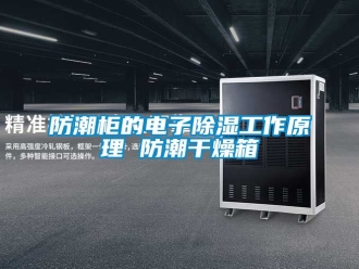 常见问题防潮柜的电子除湿工作原理 防潮干燥箱