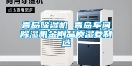 青岛除湿机 青岛车间除湿机金刚品质湿菱制造