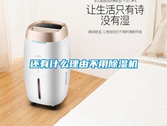 行业新闻还有什么理由不用除湿机