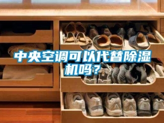 行业新闻中央空调可以代替除湿机吗？