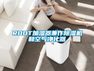 企业新闻ROOT加湿器兼作除湿机和空气净化器