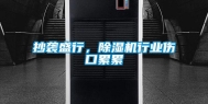 抄袭盛行，除湿机行业伤口累累