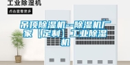 吊顶除湿机--除湿机厂家【定制】工业除湿机