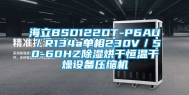 海立BSD122DT-P6AU／R134a单相230V／50-60HZ除湿烘干恒温干燥设备压缩机