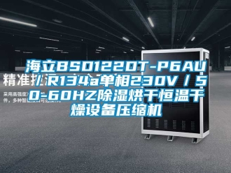 知识百科海立BSD122DT-P6AU／R134a单相230V／50-60HZ除湿烘干恒温干燥设备压缩机