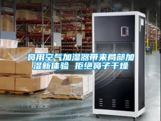 常见问题鼻用空气加湿器带来局部加湿新体验 拒绝鼻子干燥