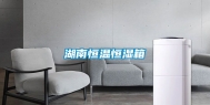 湖南恒温恒湿箱
