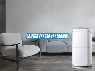 知识百科湖南恒温恒湿箱
