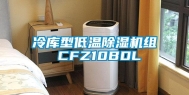冷库型低温除湿机组 CFZ10BDL