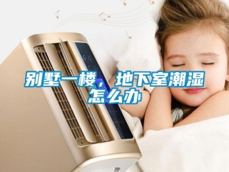 企业新闻别墅一楼，地下室潮湿怎么办