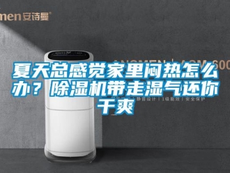 行业新闻夏天总感觉家里闷热怎么办？除湿机带走湿气还你干爽