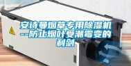 安诗曼烟草专用除湿机--防止烟叶受潮霉变的利剑