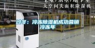 过冬：冷冻除湿机成功营销冷冻年