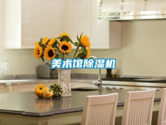 行业新闻美术馆除湿机