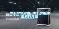 烘干型除湿机 烘干房用抽湿机的介绍
