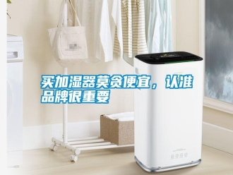 行业新闻买加湿器莫贪便宜，认准品牌很重要