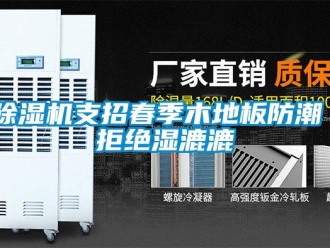 企业新闻除湿机支招春季木地板防潮 拒绝湿漉漉