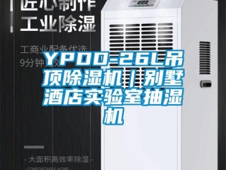 企业新闻YPDD-26L吊顶除湿机｜别墅酒店实验室抽湿机
