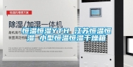 恒温恒湿YTH 江苏恒温恒湿 小型恒温恒湿干燥箱