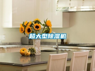企业新闻超大型除湿机