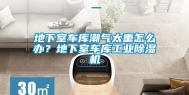 地下室车库潮气太重怎么办？地下室车库工业除湿机