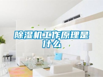 行业新闻除湿机工作原理是什么