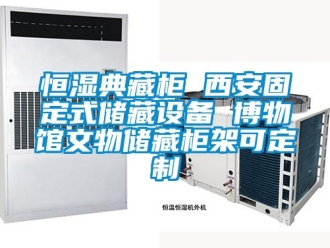知识百科恒湿典藏柜 西安固定式储藏设备 博物馆文物储藏柜架可定制