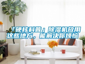 企业新闻「硬核科普」除湿机放用这些地方，能解决你烦恼