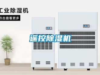 行业新闻遥控除湿机