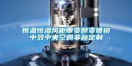 恒温恒湿风柜带变频变速初中效中央空调非标定制