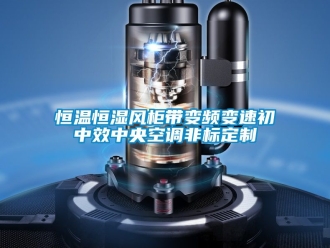 知识百科恒温恒湿风柜带变频变速初中效中央空调非标定制
