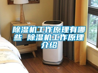 行业新闻除湿机工作原理有哪些 除湿机工作原理介绍