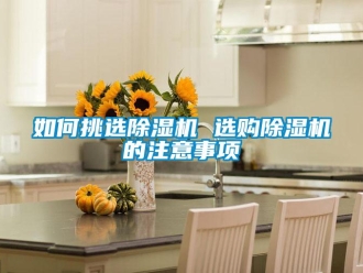 行业新闻如何挑选除湿机 选购除湿机的注意事项