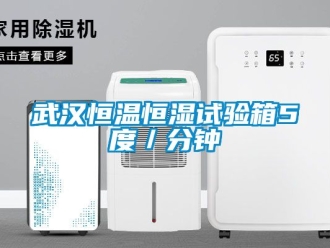 知识百科武汉恒温恒湿试验箱5度／分钟