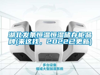 知识百科湖北发条恒温恒湿储存柜品牌(来这找，2022已更新)