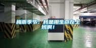 梅雨季节：我是用生命在上班啊！
