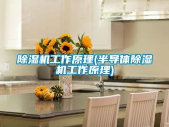 行业新闻除湿机工作原理(半导体除湿机工作原理)